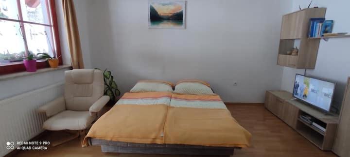 Apartmaji Bostjan Pristavec Kranjska Gora Εξωτερικό φωτογραφία