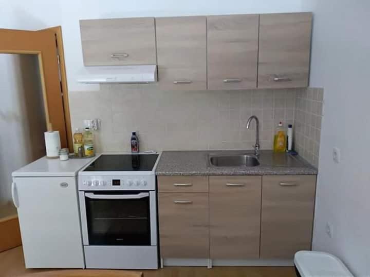 Apartmaji Bostjan Pristavec Kranjska Gora Εξωτερικό φωτογραφία
